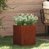Product Thumbnail Image 2 of 14