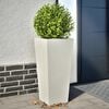 Product Thumbnail Image 2 of 12
