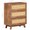 vidaXL Sideboard 61x35x76 cm Solid Mango Wood