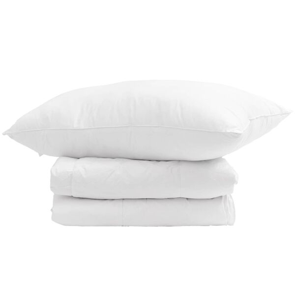 vidaXL Winter Duvet with Pillow 2 pcs White Down Feather