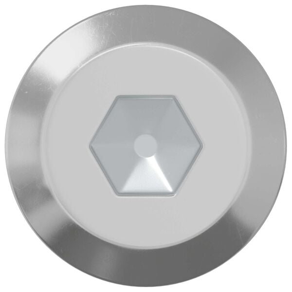 vidaXL Screw 12 pcs Silver M6 x 100 mm Steel