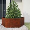 Product Thumbnail Image 2 of 11