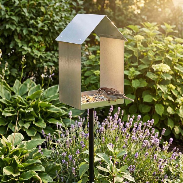 Showing Product Image 2 of 7