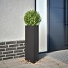 Product Thumbnail Image 2 of 10