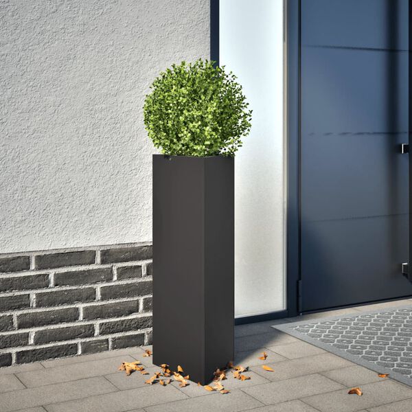 Showing Product Image 2 of 10