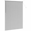 vidaXL Window Blind with Curtains Manual Silver Aluminium