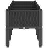Product Thumbnail Image 5 of 7