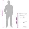 vidaXL Shoe Cabinet Black 63x24x104 cm Engineered Wood