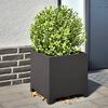 Product Thumbnail Image 2 of 10