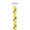 Product Thumbnail Image 6 of 6