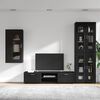 vidaXL TV Cabinet Set with Drawer FLORIN Black Engineered Wood