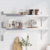 vidaXL 2-Tier Wall Shelf 100x23.5x60 cm Silver Stainless Steel