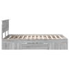 Product Thumbnail Image 9 of 14