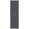 vidaXL Storage Cabinet with Storage 2 pcs Anthracite 60 x 40 x200 cm