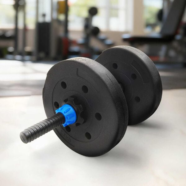 vidaXL Weight Plates 4 pcs Black &Oslash; 21.5 x 3.8 cm