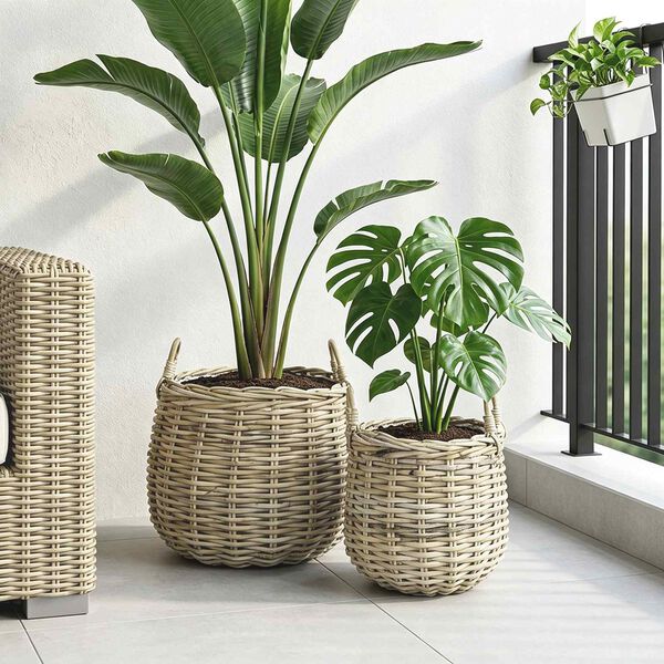 Showing Product Image 3 of 10