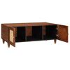 vidaXL Coffee Tables Brown 100 x 54 x 40 cm Cane and solid mango wood