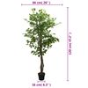 Product Thumbnail Image 5 of 5