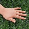 Product Thumbnail Image 6 of 7