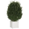 Product Thumbnail Image 4 of 9