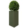 Product Thumbnail Image 4 of 12