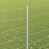 Product Thumbnail Image 4 of 7