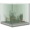 vidaXL Aquarium with Storage Transparent 30 x 30 x 30 cm Glass