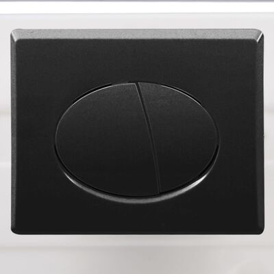 vidaXL Wall-Hung Toilet with Concealed Cistern Ceramic Black