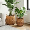 Product Thumbnail Image 2 of 9