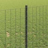 Product Thumbnail Image 4 of 14