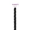 vidaXL Work Rope Black 6 mm 25 m Polypropylene