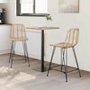 vidaXL Bar Chair 2 pcs Natural 44.5 x 54.5 x 97.5 cm Rattan and Iron