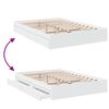 Product Thumbnail Image 8 of 11