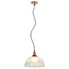 vidaXL Hanging Lamps 2 pcs Transparent Round 30 cm E27