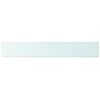 vidaXL Shelf Panel Glass Clear 100x15 cm