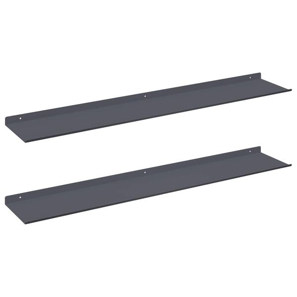 vidaXL Floating Shelf 2 pcs Anthracite 100 x 18 x 2.5 cm Steel