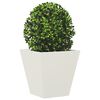 Product Thumbnail Image 4 of 12
