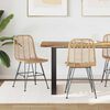 vidaXL Dining Chair 2 pcs Natural 44 x 47 x 85 cm Rattan and Iron