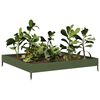 Product Thumbnail Image 3 of 10