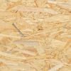 Product Thumbnail Image 11 of 13