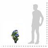 Product Thumbnail Image 3 of 3