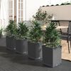 Product Thumbnail Image 2 of 8