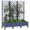 Product Thumbnail Image 3 of 8
