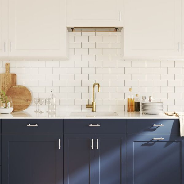 vidaXL Cabinet Handles 10 pcs Silver 64 mm Stainless Steel