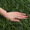 Product Thumbnail Image 5 of 6