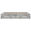 vidaXL Bed Frame with Drawers without Mattress Concrete Grey 160x200 cm