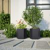 vidaXL Garden Planter 2 pcs Black Hexagon 46x40x45 cm Steel