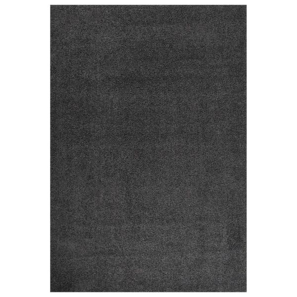 vidaXL Shaggy Rug High Pile Anthracite 160x230 cm