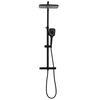 vidaXL Dual Head Shower Set with Mixer and Hose Black Brass
