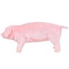Product Thumbnail Image 2 of 5